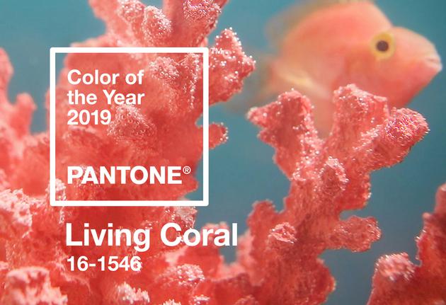 2019 Pantone年度色 Living Coral